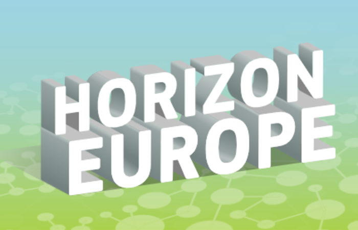 Szkolenie On-line "Wprowadzenie do udziału w programie ramowym UE  HORYZONT EUROPA"
